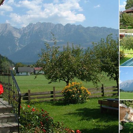 Haus Pürcher Bad Mitterndorf Exterior foto